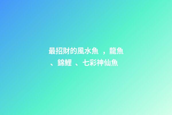 最招財的風水魚，龍魚、錦鯉、七彩神仙魚